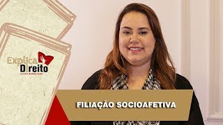 Explica Direito Filiação Socioafetiva  2019 [upl. by Janos67]